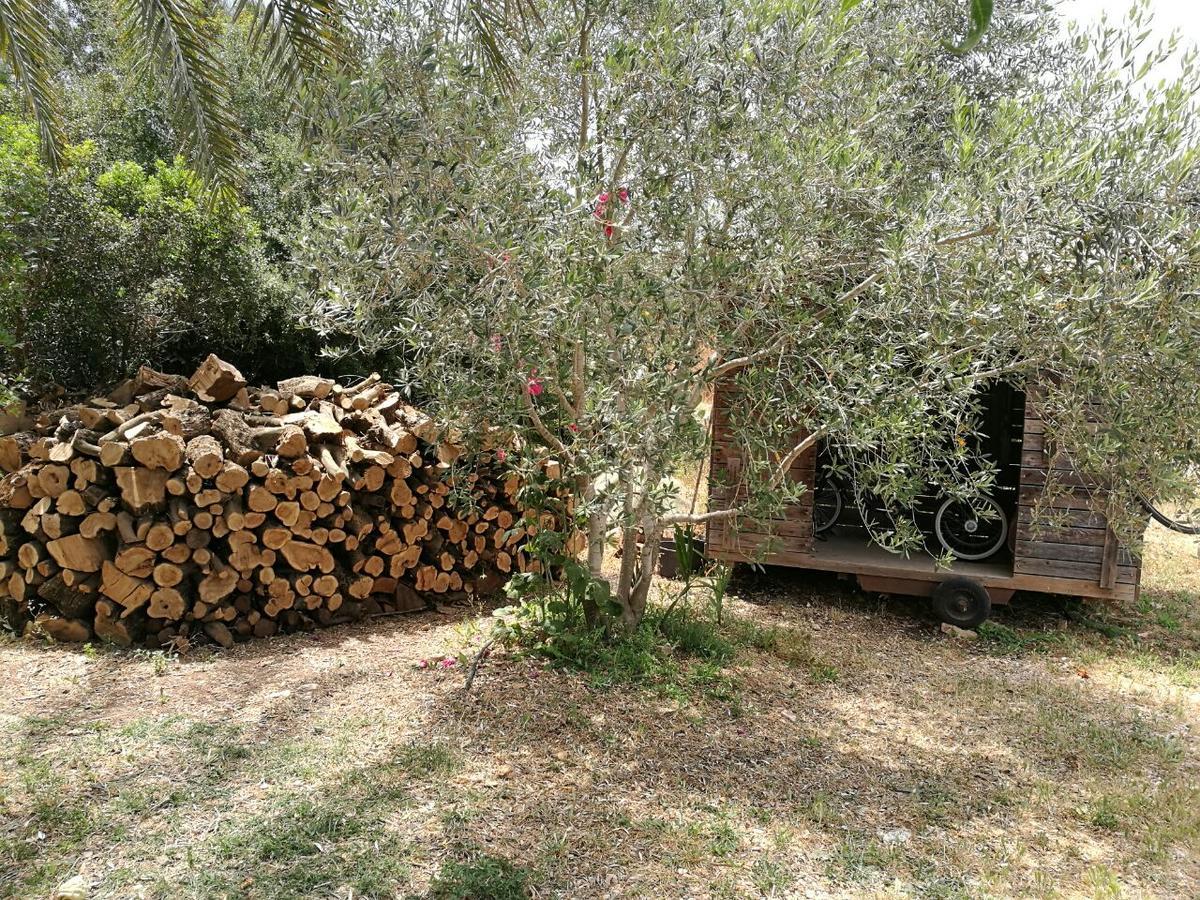 Hemdatya Stone Suites In The Galilee Ilaniya Exterior foto